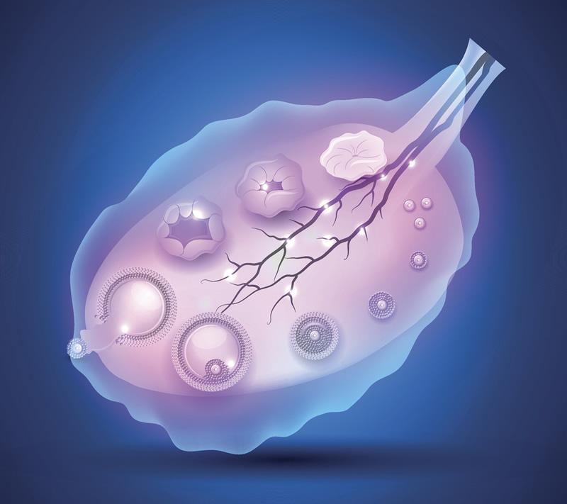 2026年高龄去上海市同济医院做试管助孕生子的成功率高吗？不同年龄段是不一样的